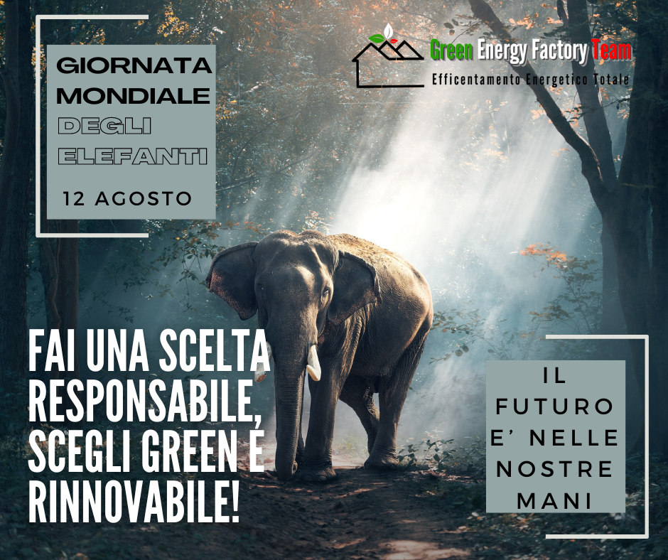 Copia di green energy tetto3